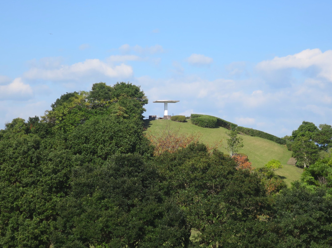 Tosa Seinan Daikibo Park Wampaku Hiroba-四万十市必去景点
