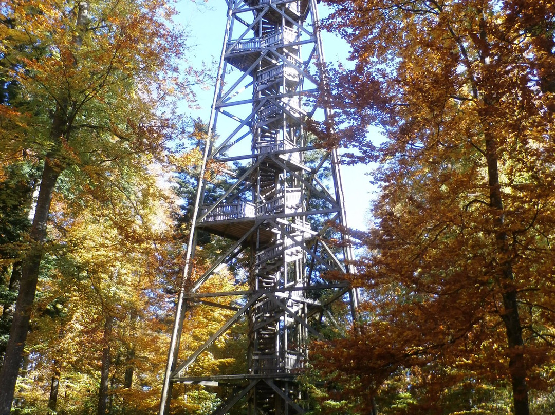 Loorenkopf Aussichtsturm-苏黎世必去景点