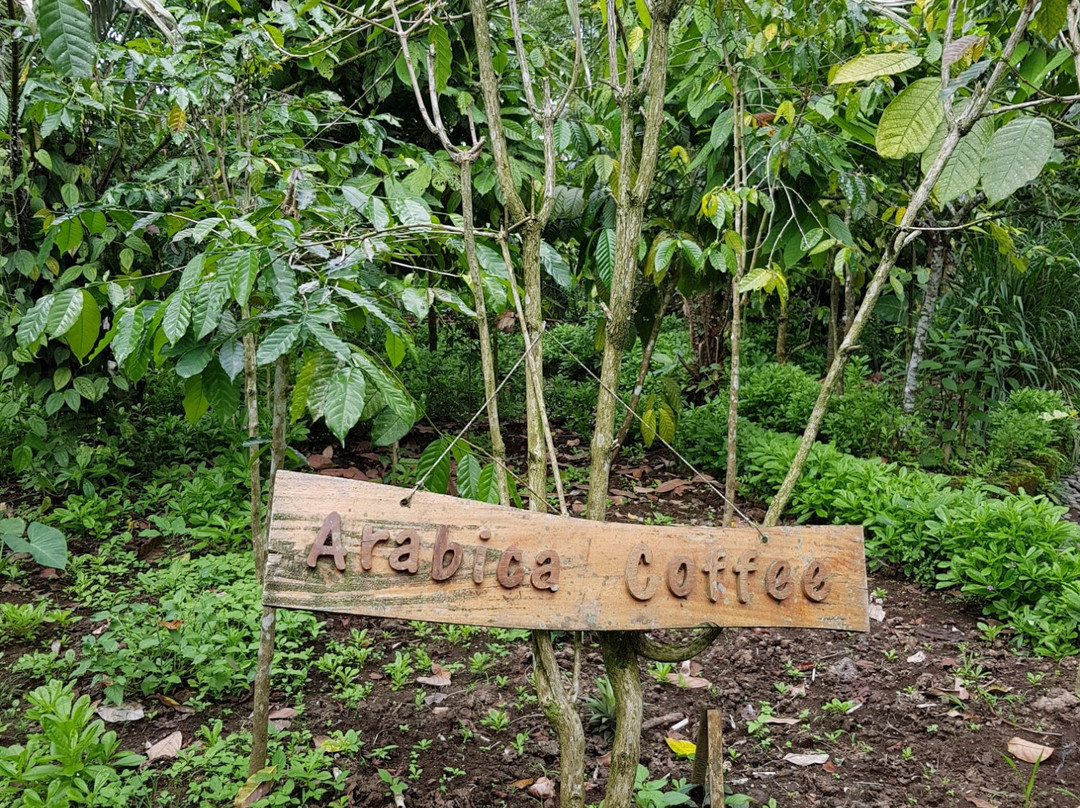 I Love BAS Agrotourisn-金塔马尼必去景点