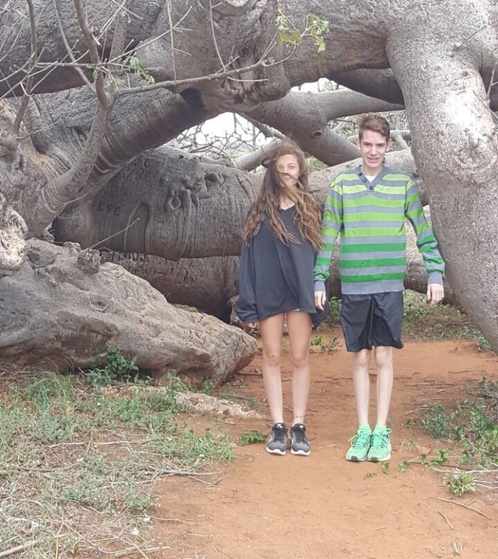 Sunland Baobab-Limpopo Province必去景点