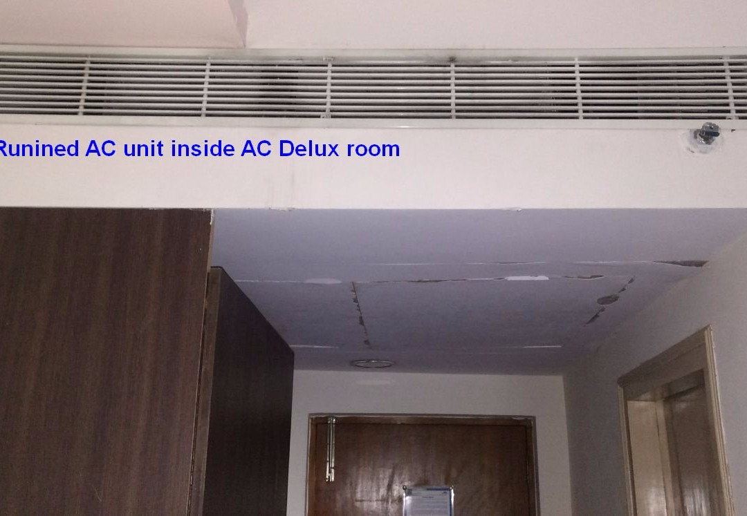 Haritha Kakatiya Hotel主图