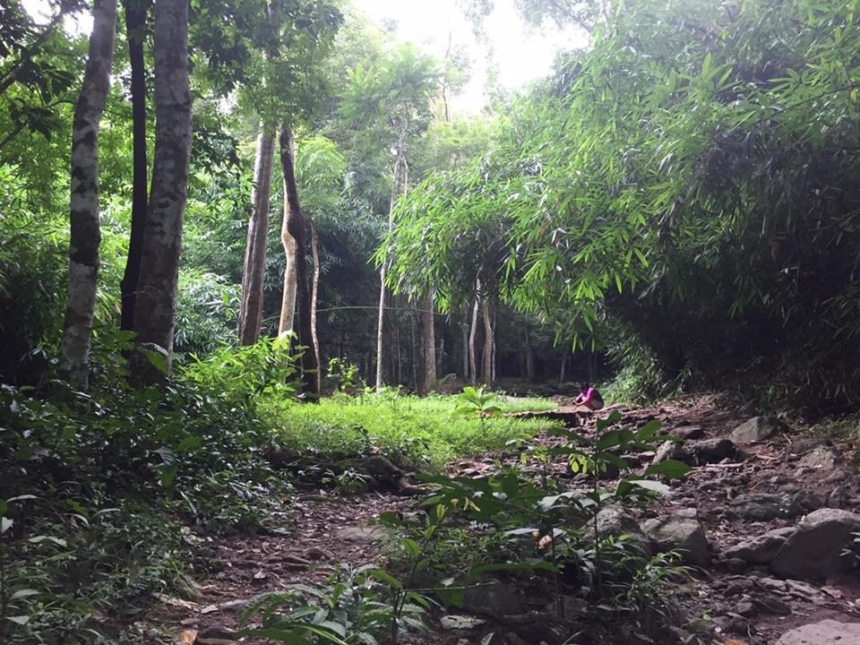 Khao Sam Lan National Park景点图片