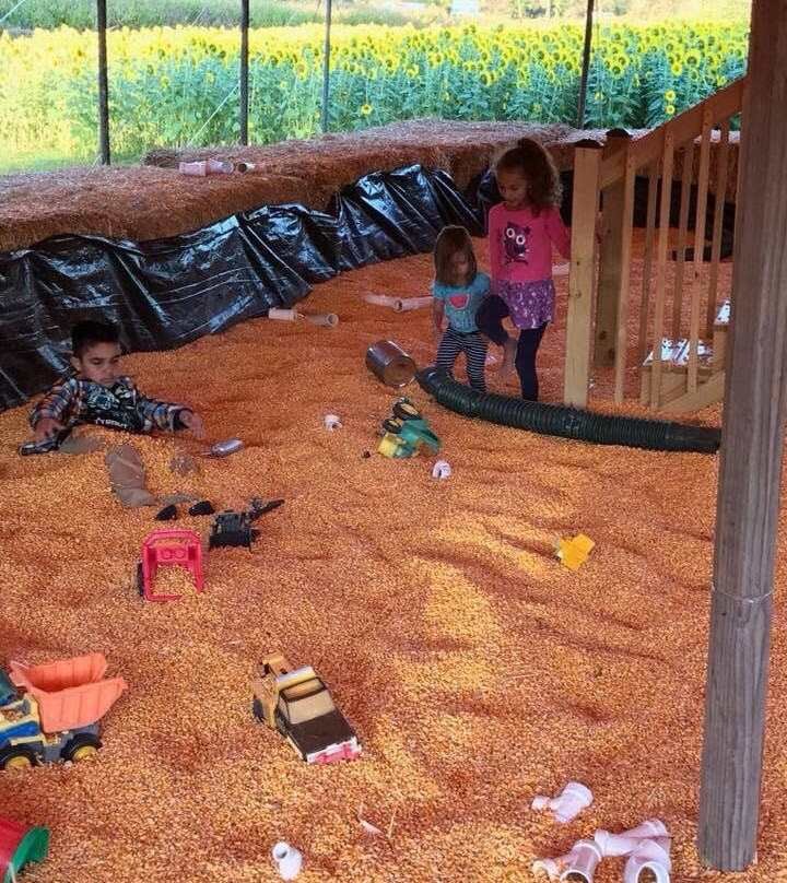 Paulus Farm Market-梅卡尼克斯堡必去景点