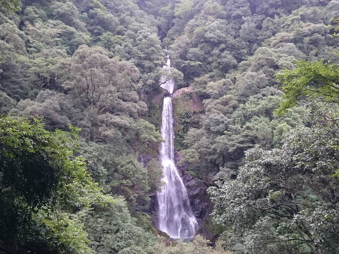 Oseri Falls景点图片