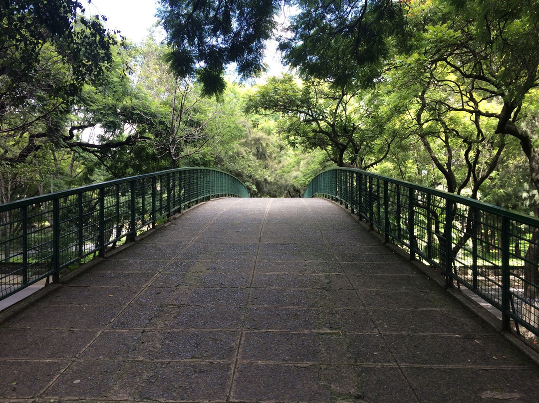 Parque Agua Azul-瓜达拉哈拉必去景点