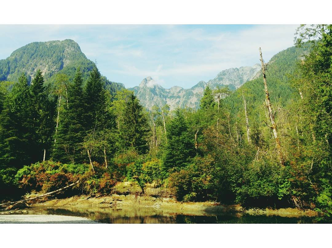 Lower Falls Trail-枫树岭必去景点