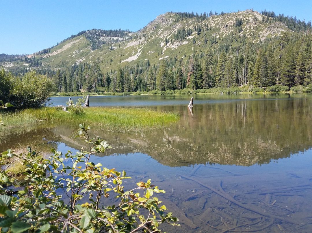 Plumas-Eureka State Park景点图片