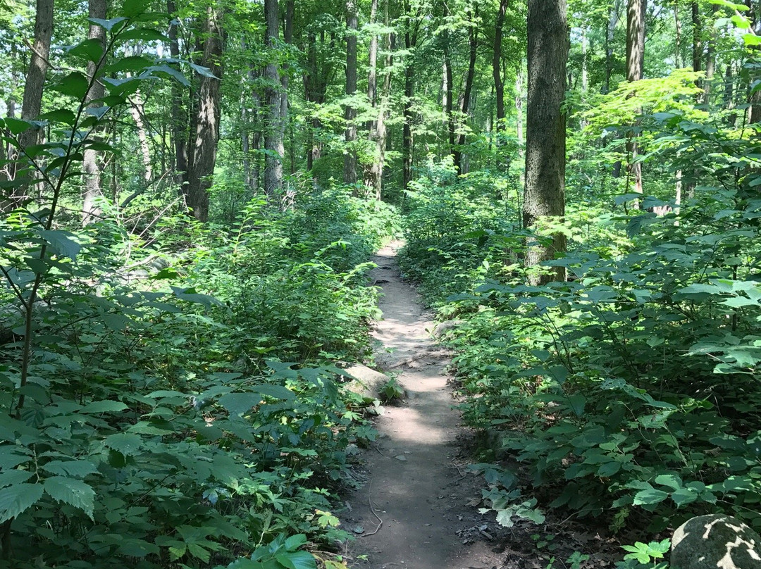 Kettle Moraine State Forest Northern Unit景点图片