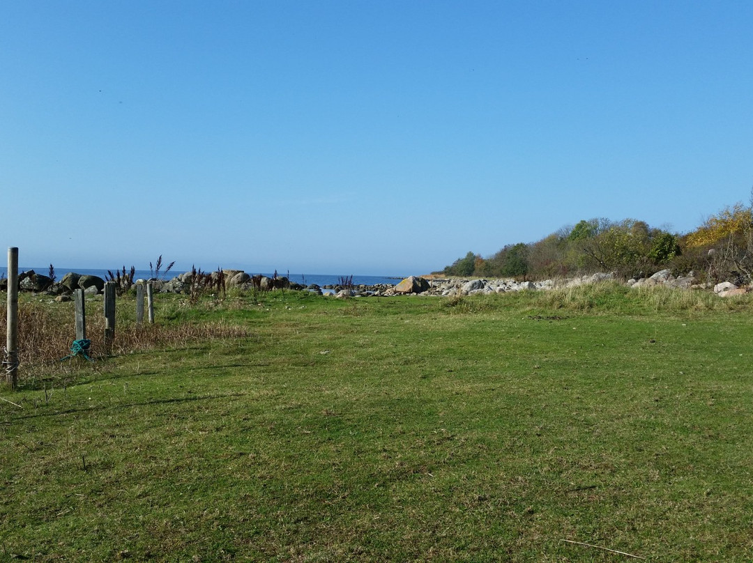 Magnarps Strandmark Naturreservat-Vejbystrand必去景点