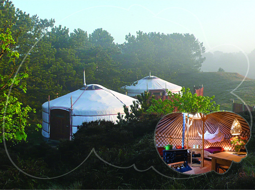 Texel Yurts