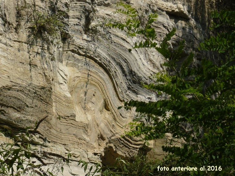 Parco dei Laghi Fossili di Sovere景点图片