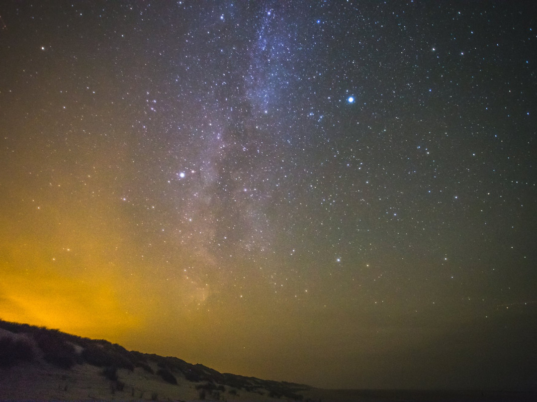 Hoorn旅游景点-Dark Sky Park de Boschplaat