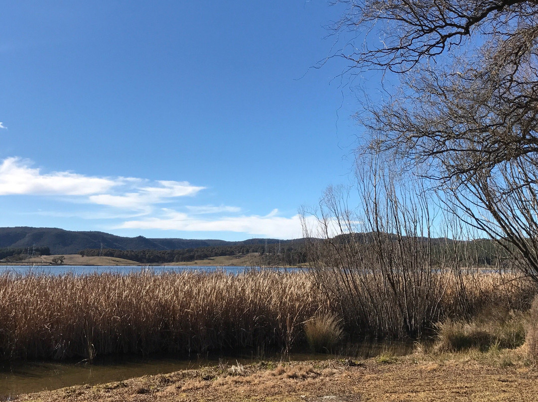 Lake Wallace-Wallerawang必去景点