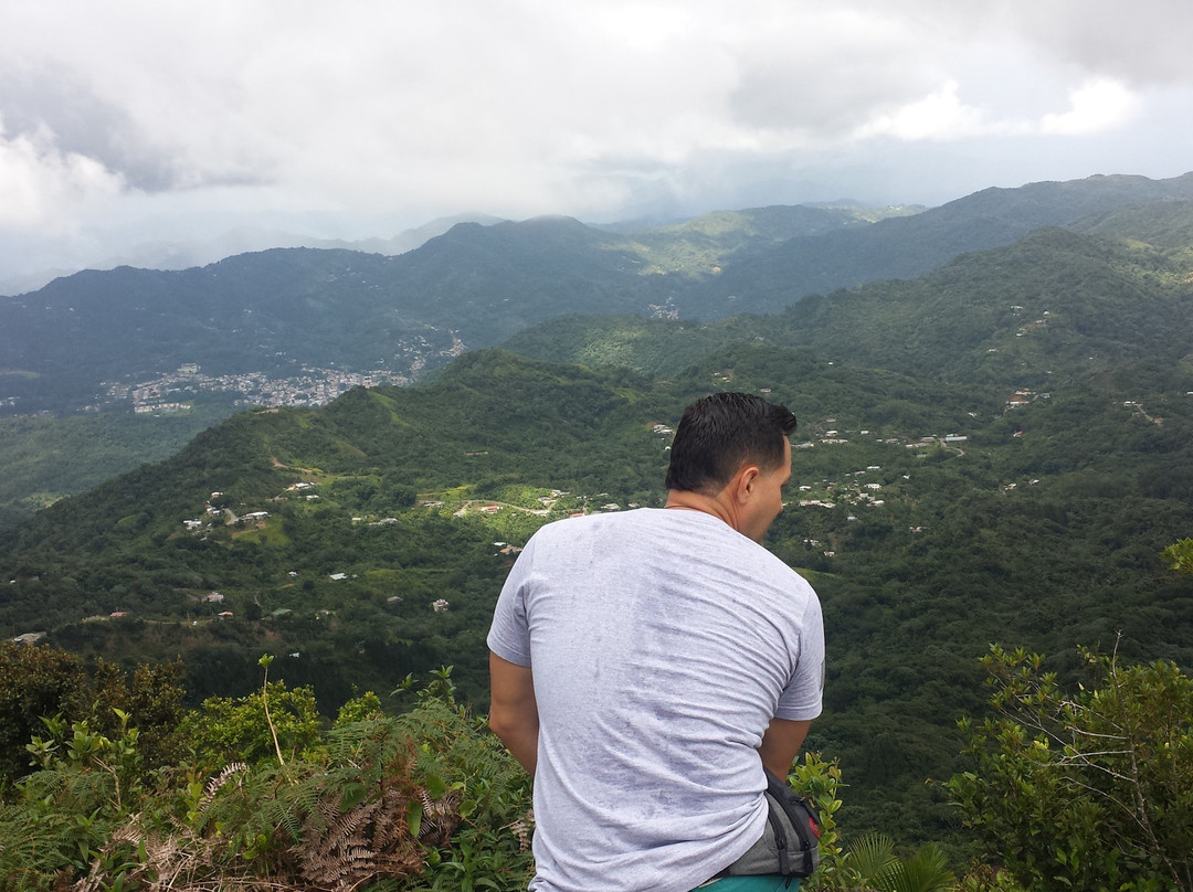 Monte Guilarte State Forest-Adjuntas必去景点