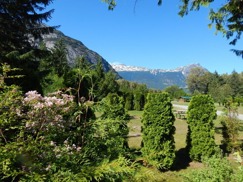 Rip Rap Campsite主图