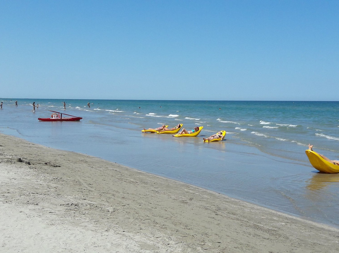 Spiaggia 77 Andrea景点图片