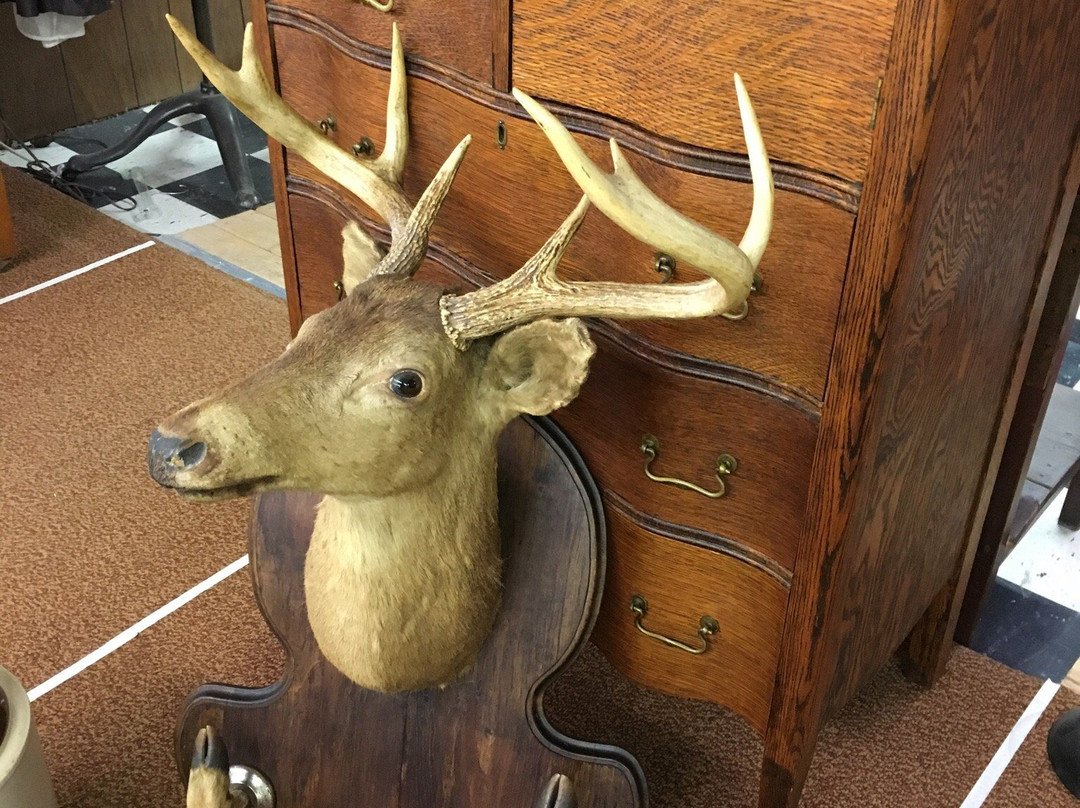 Buckboard Mercantile景点图片
