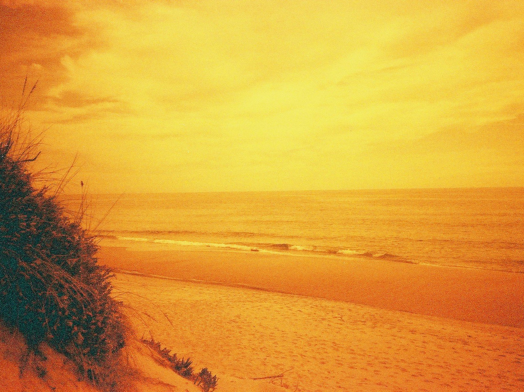 Osso da Baleia Beach景点图片