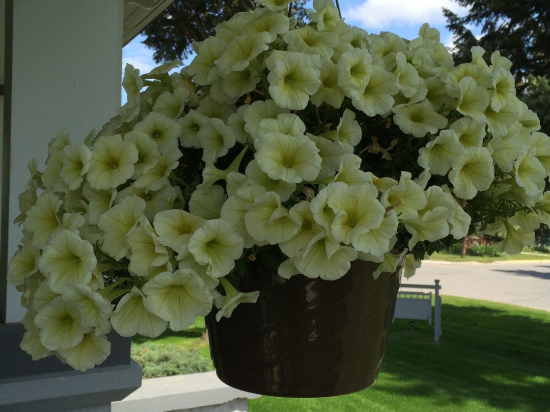 Huckleberry House B & B主图