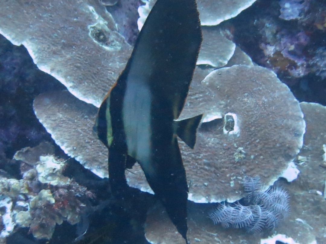 Arko Beach-邦劳岛必去景点