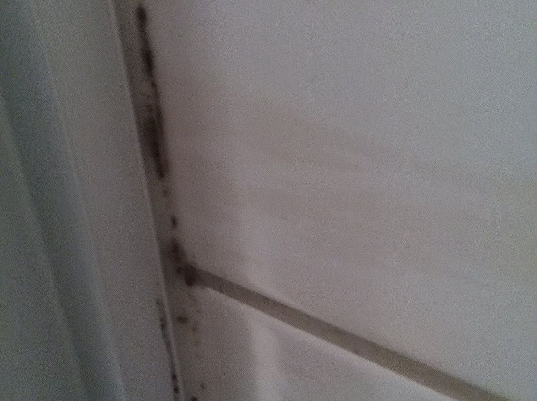 Hotel am Bad-Wald主图
