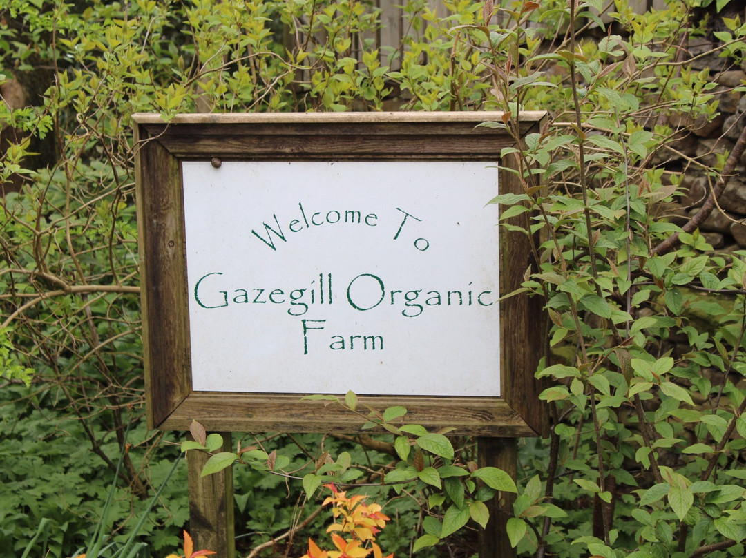 Gazegill Organics景点图片