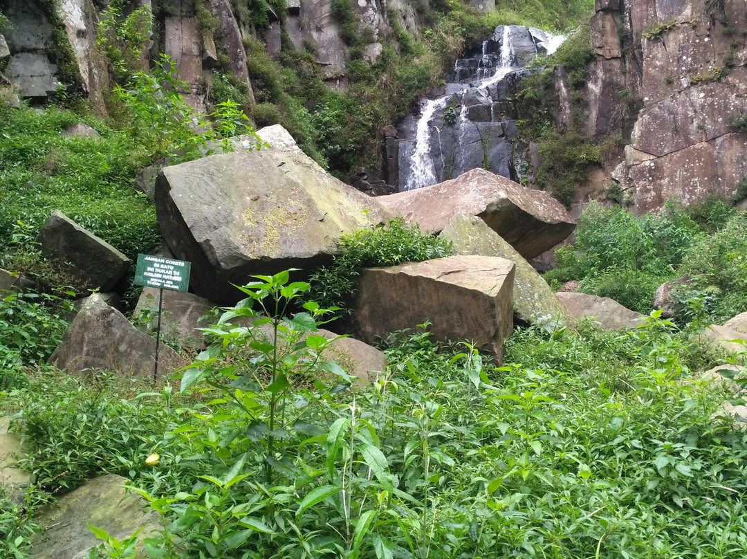 Supit Urang Pujon Waterfall景点图片