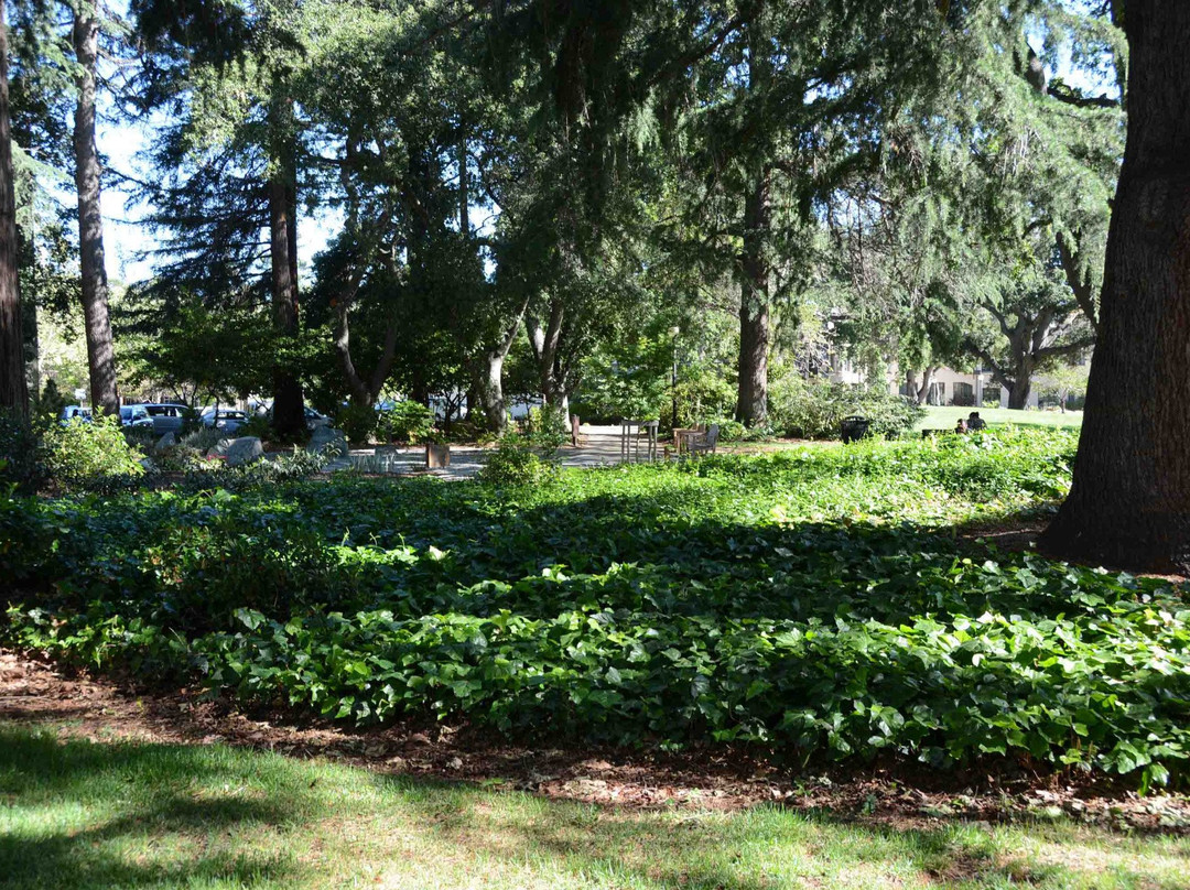 Pioneer Memorial Park-山景城必去景点