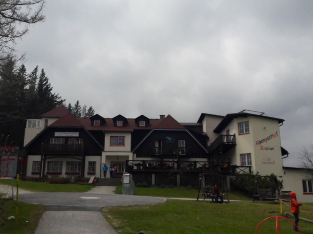 Alpengasthof Enzian