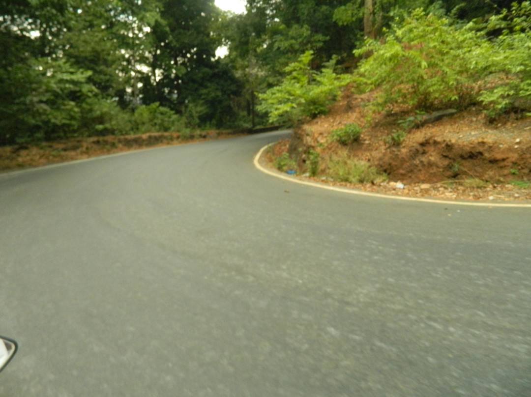 Agumbe Ghat景点图片