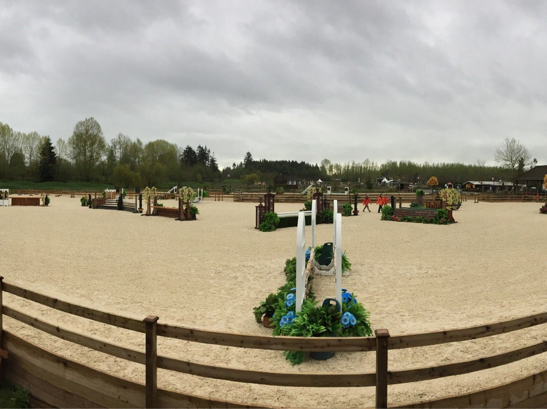 Thunderbird Show Park-Langley必去景点