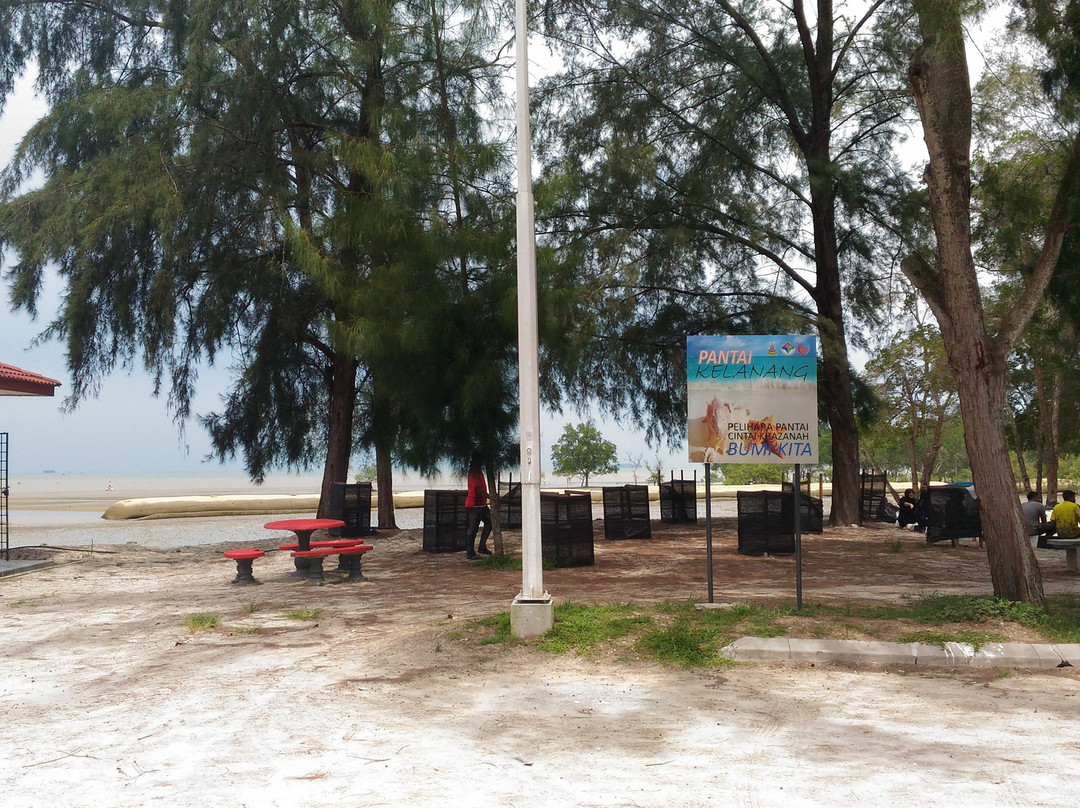 Pantai Kelanang Beach景点图片