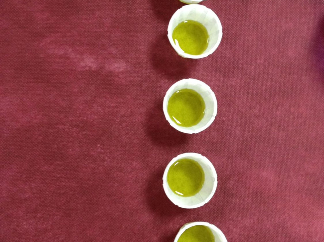 The Olive People景点图片