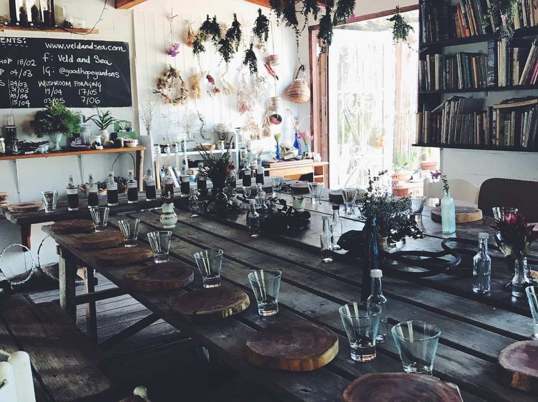 Veld and Sea-Cape Point必去景点