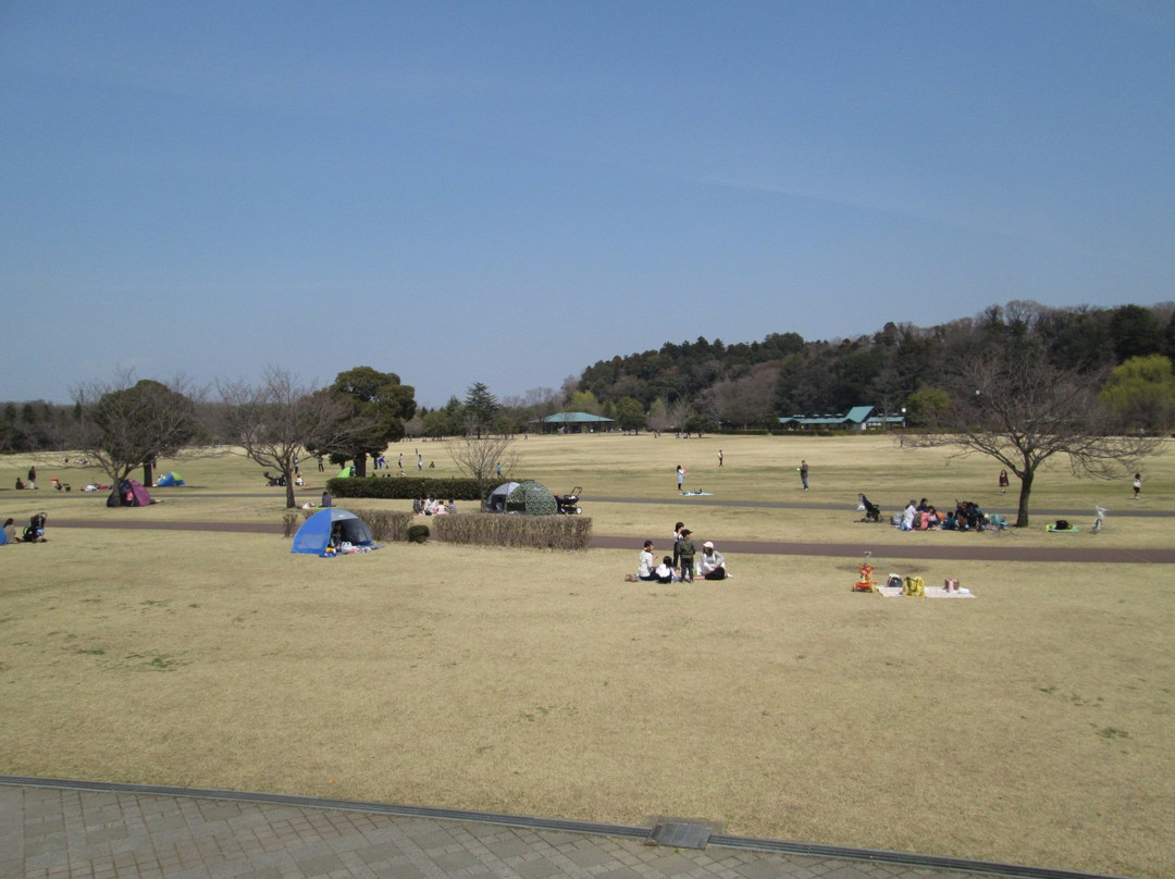 Oyama Comprehensive Park-小山市必去景点