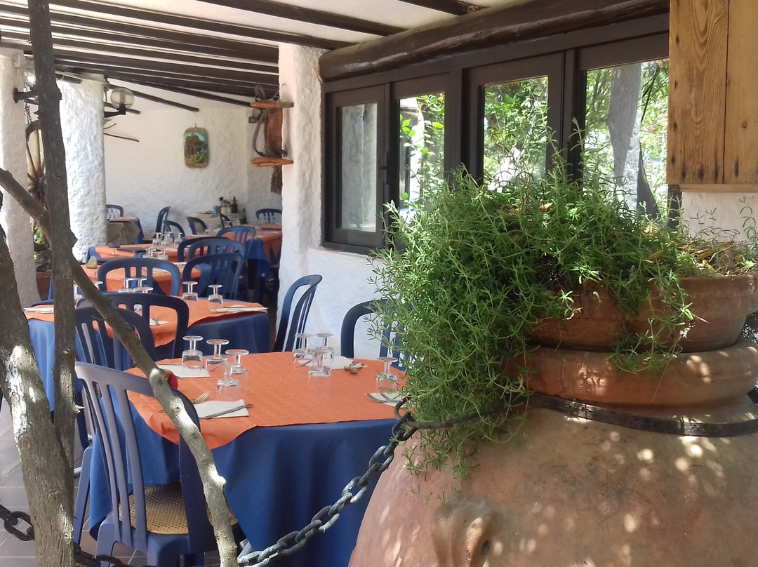 Baia Saraceno Ristorante Pizzeria