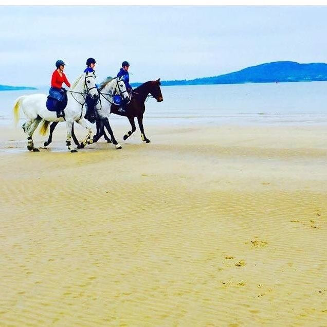 Crana Stables-Buncrana必去景点