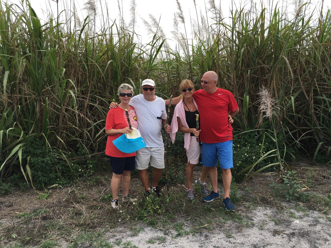 Sugarland Tours-克莱维斯顿必去景点