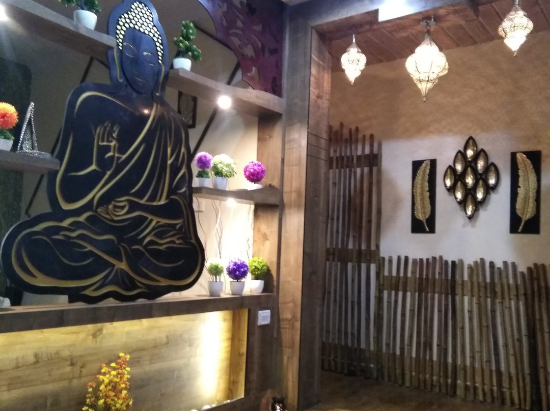 H2O Wellness & Spa景点图片