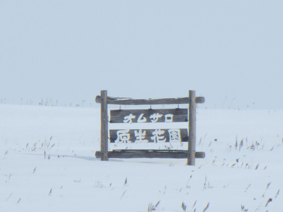 Omusaro Genseikaen-纹别市必去景点
