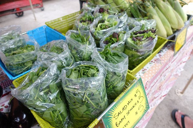 Foragers Markets 2nd Sunday Bulli-布利土必去景点