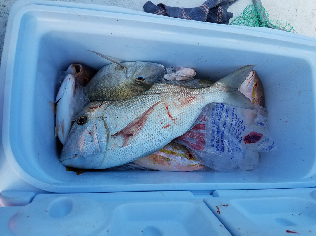 Cancun Eco Fishing-坎昆必去景点