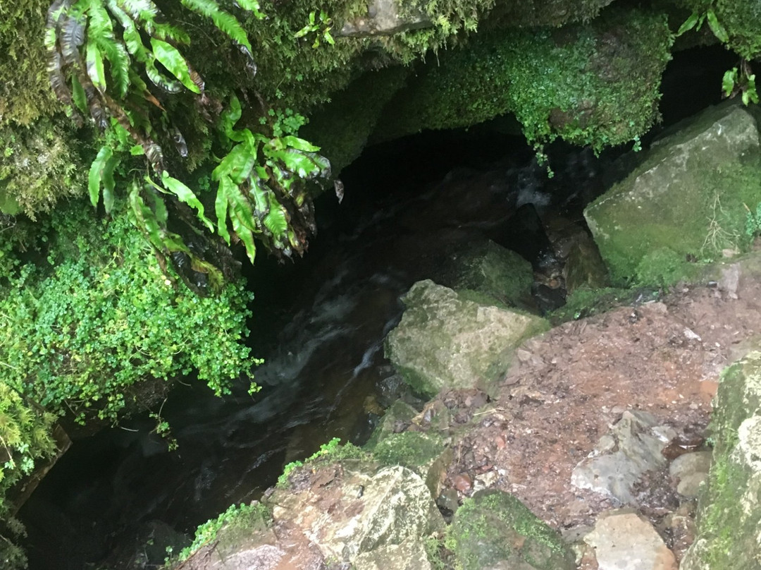 River Africa Discover-卡迪夫必去景点