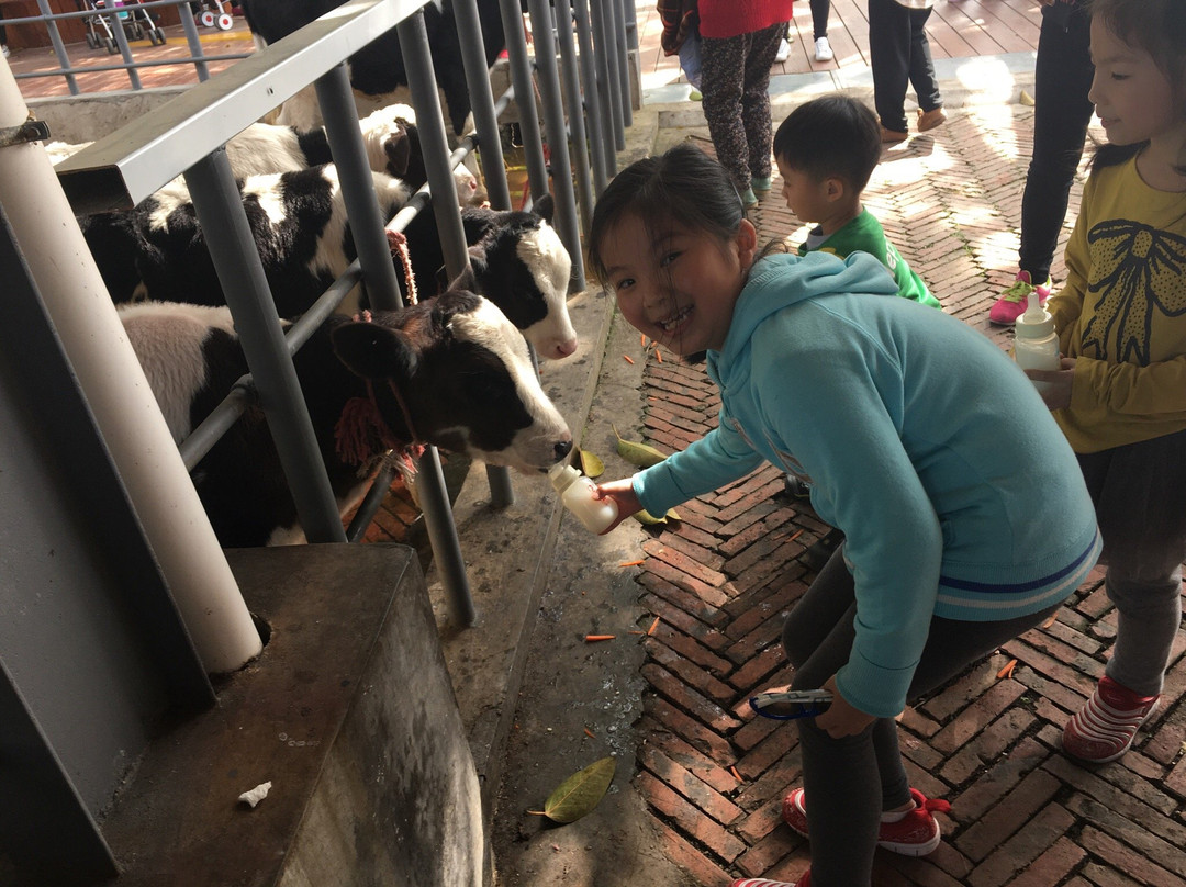 光明农场-深圳市必去景点