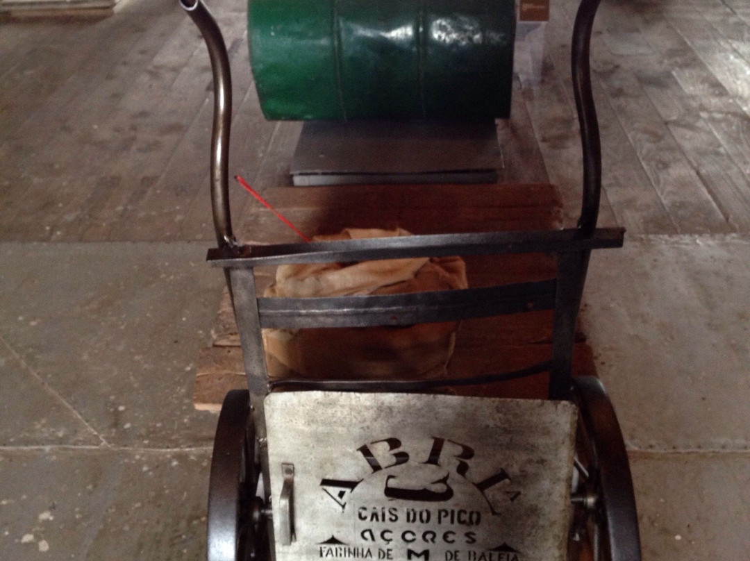 Museu da Industria Baleeira-Sao Roque do Pico必去景点