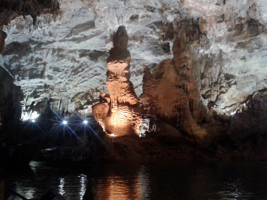 Phong Nha Daily Tours景点图片