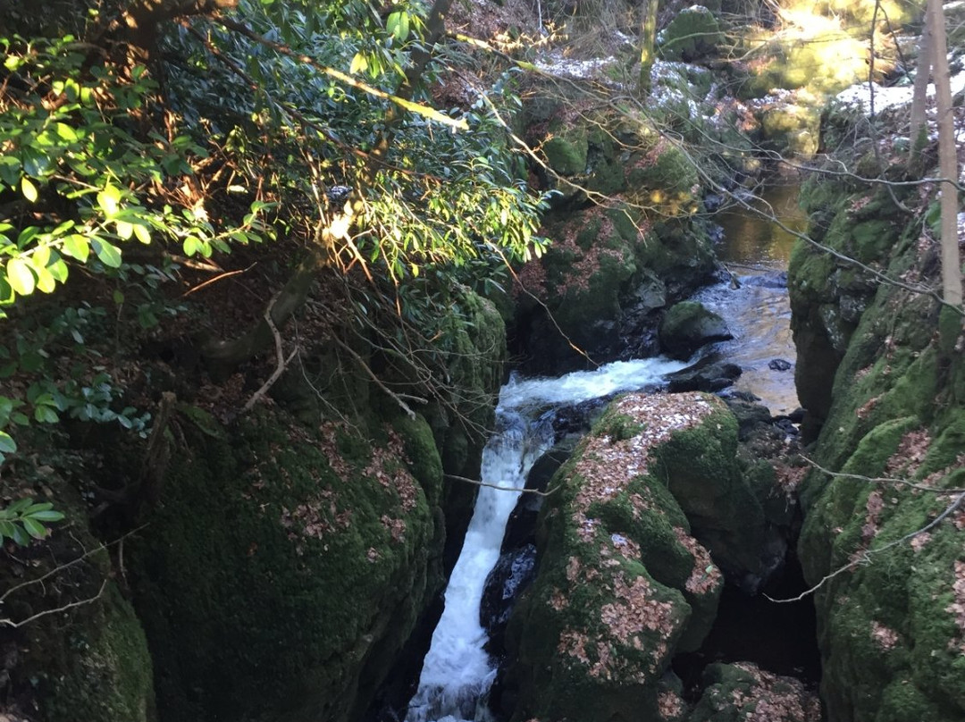 The Double Bridge of Rumbling Bridge-Rumbling Bridge必去景点