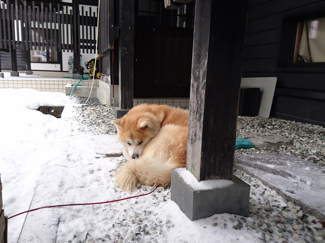 Satoku Garden-仙北市必去景点