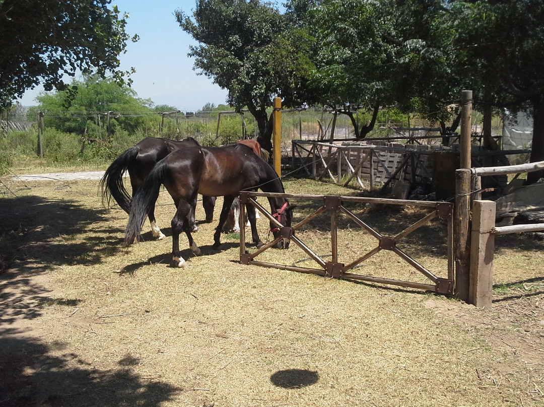 Granja Organica Tia Nora景点图片