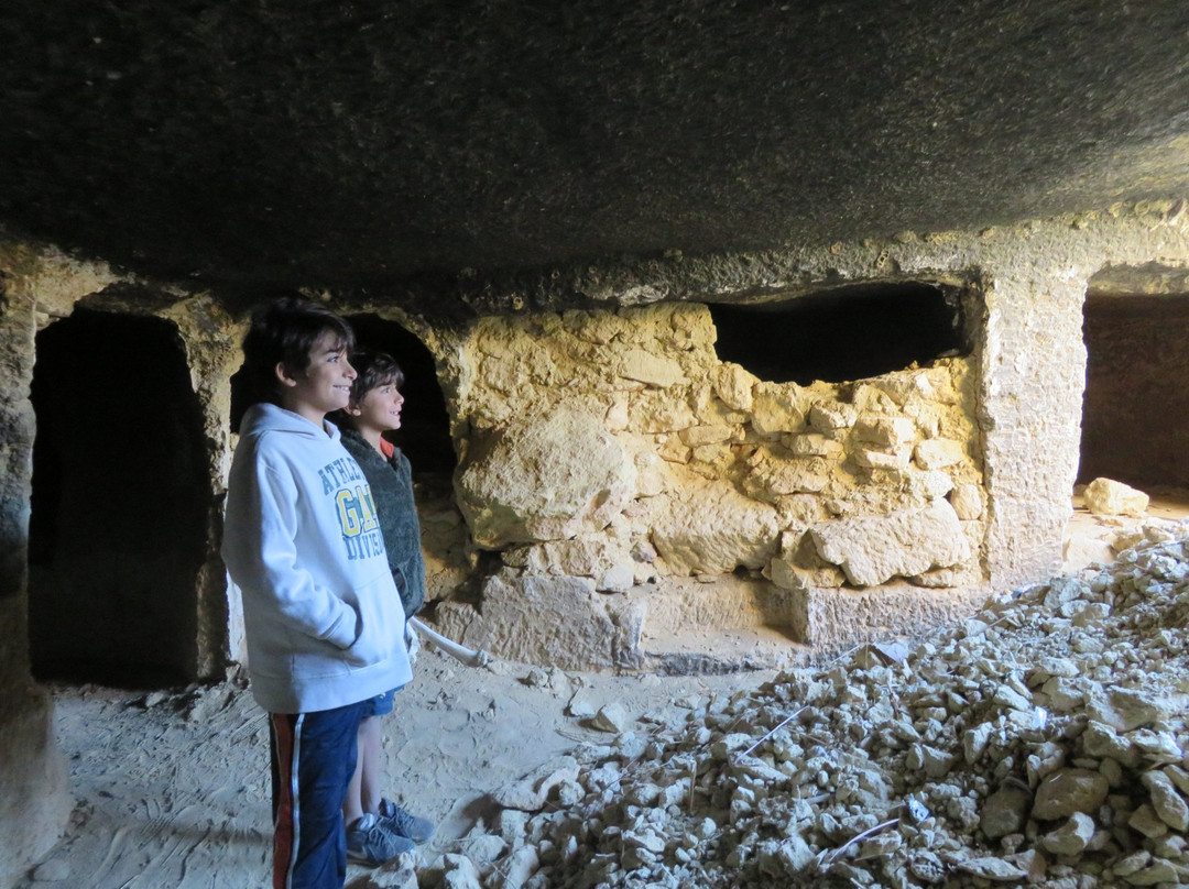 Graeco-Roman Tombs-西瓦必去景点